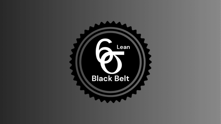 Lean Six Sigma Black Belt